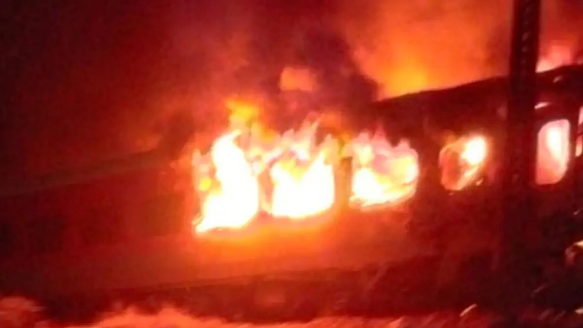 <div class="paragraphs"><p>تصویر سوشل میڈیا</p></div>