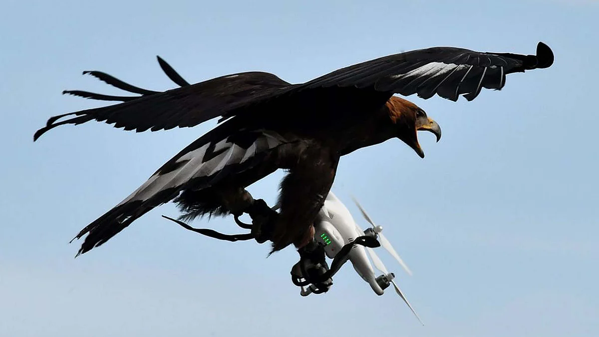 <div class="paragraphs"><p>علامتی تصویر / Getty Images</p></div>