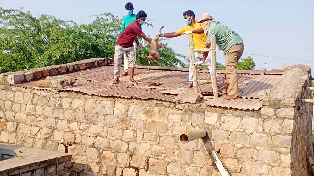 <div class="paragraphs"><p>تصویر آئی اے این ایس</p></div>