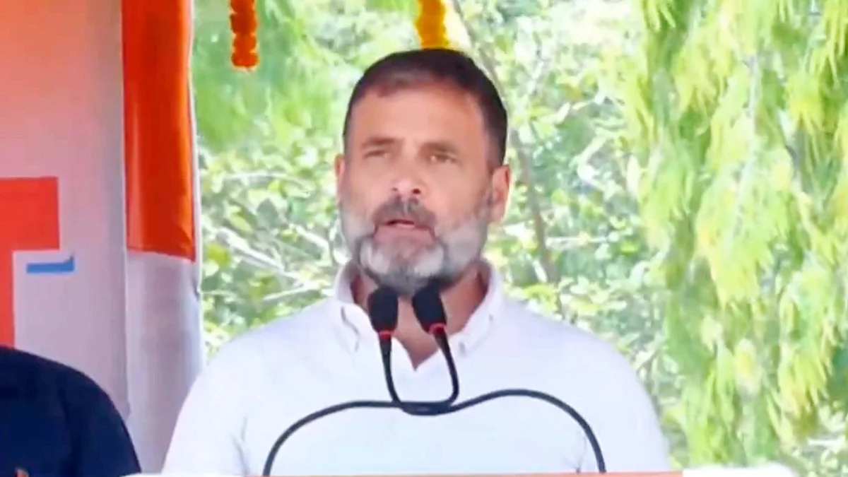 <div class="paragraphs"><p>راہل گاندھی / ویڈیو گریب</p></div>