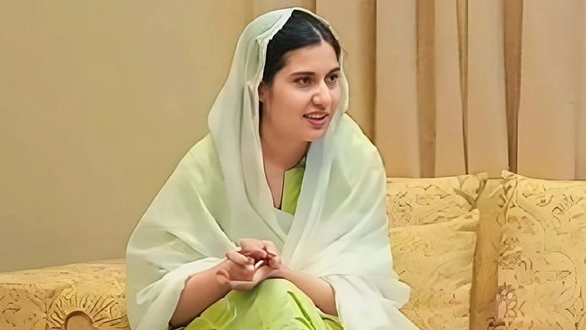 <div class="paragraphs"><p>تصویر ویڈیو گریب</p></div>