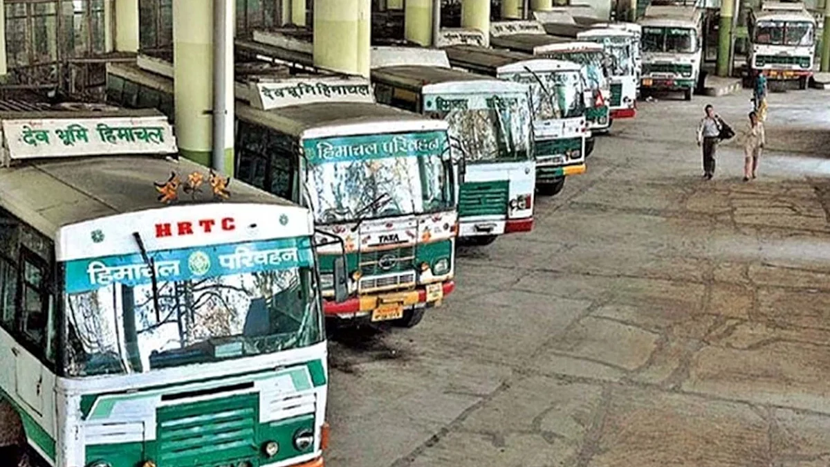 <div class="paragraphs"><p>تصویر سوشل میڈیا</p></div>