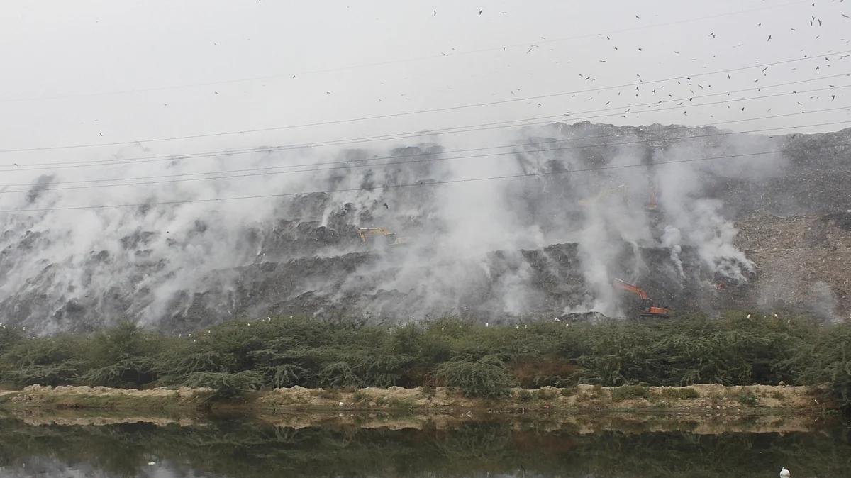 <div class="paragraphs"><p>غازی پور لینڈ فیل سائٹ میں آگ /تصویر: آئی اے این ایس</p></div>