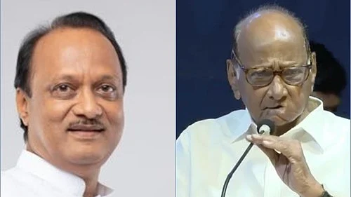 <div class="paragraphs"><p>شردپوار اور اجیت پوار /&nbsp; تصویر: آئی اے این ایس</p></div>