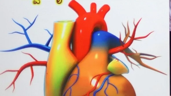 <div class="paragraphs"><p>علامتی تصویر، آئی اے این ایس</p></div>