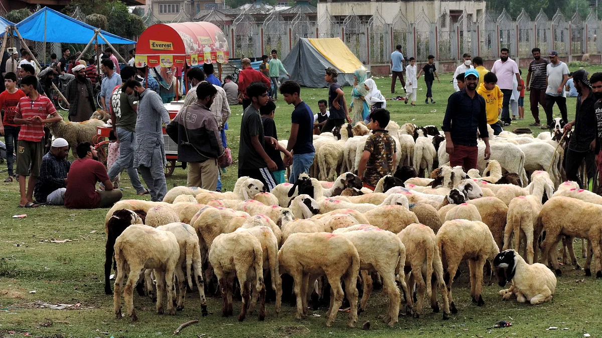 <div class="paragraphs"><p>مویشی بازار کا منظر / یو این آئی</p></div>