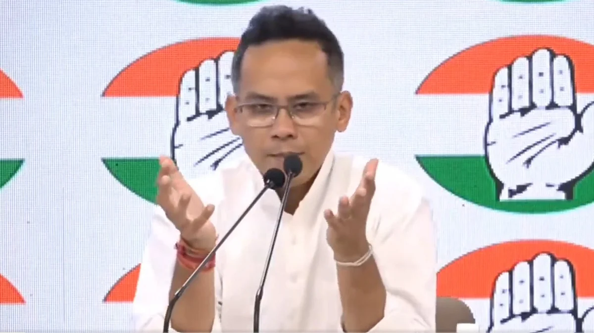 <div class="paragraphs"><p>گورو گوگوئی / ویڈیو گریب</p></div>