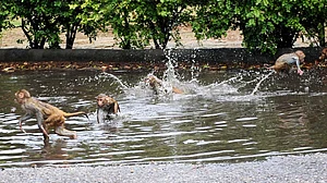 <div class="paragraphs"><p>بندر / تصویر یو این آئی</p></div>