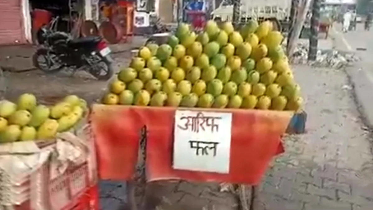 <div class="paragraphs"><p>ویڈیو گریب</p></div>