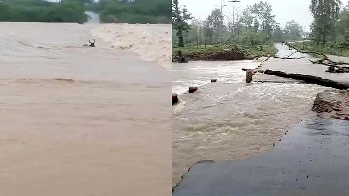 <div class="paragraphs"><p>تصویر سوشل میڈیا</p></div>