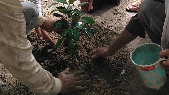جیسلمیر: ای ٹی ایف نے ایک گھنٹہ میں 5 لاکھ 19 ہزار پودے لگا کر عالمی ریکارڈ قائم کیا
