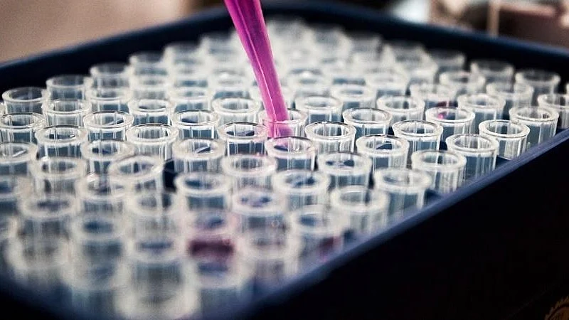 <div class="paragraphs"><p>فائل تصویر آئی اے این ایس</p></div>