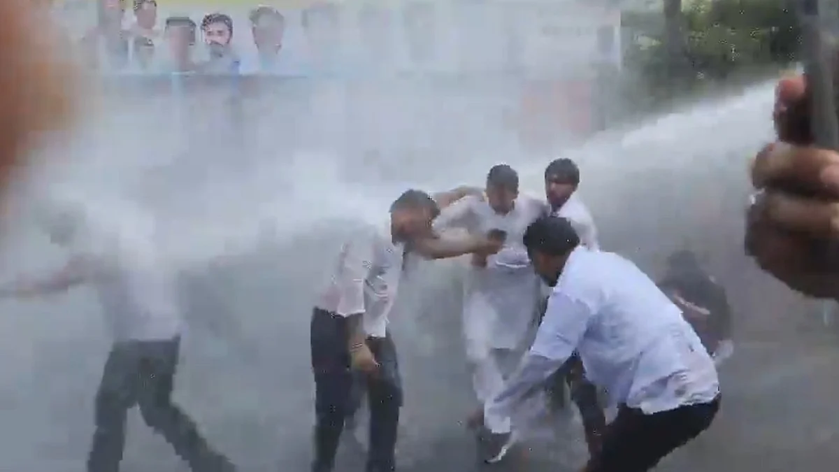 <div class="paragraphs"><p>ویڈو گریب</p></div>