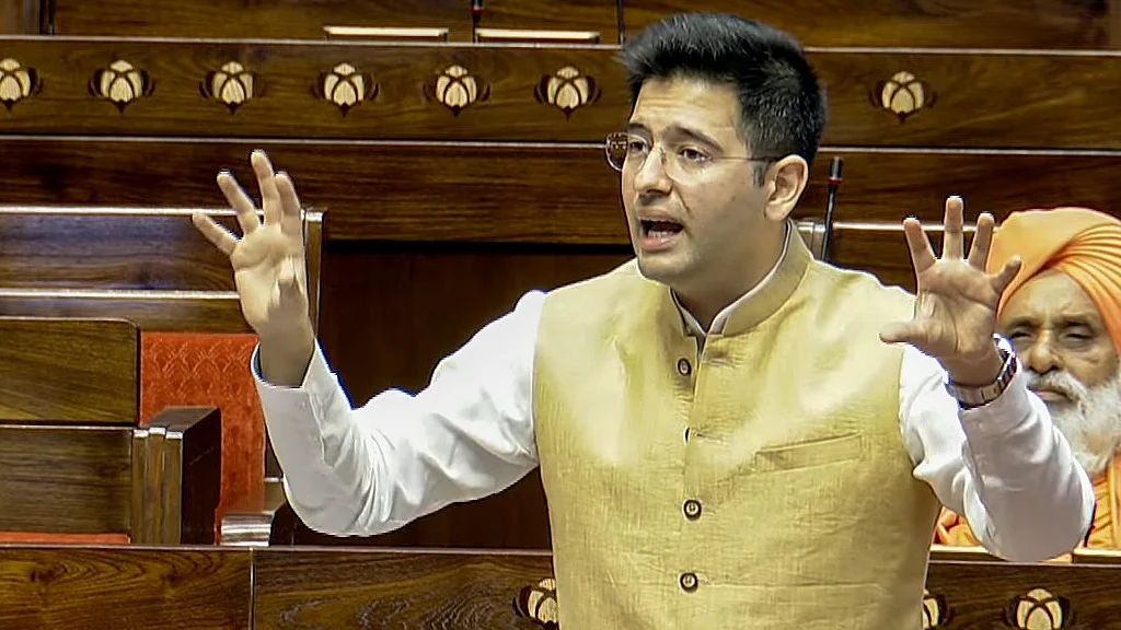 <div class="paragraphs"><p>راگھو چڈھا، تصویر آئی اے این ایس</p></div>