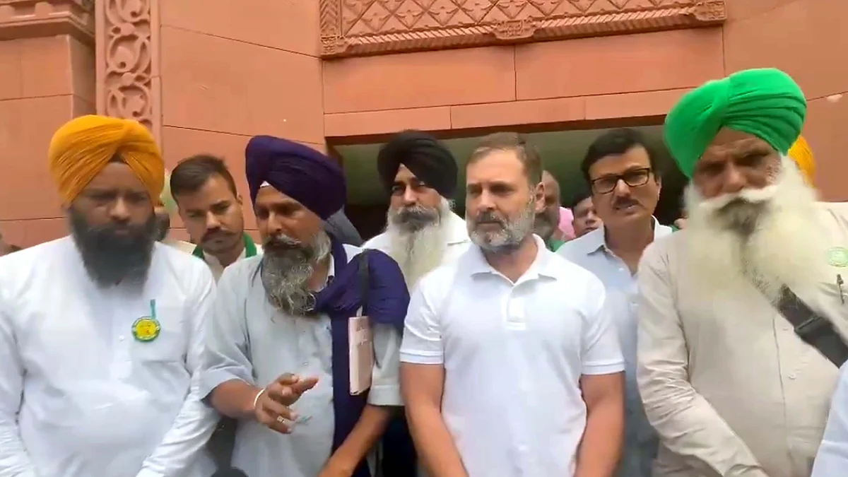 <div class="paragraphs"><p>ویڈیو گریب</p></div>