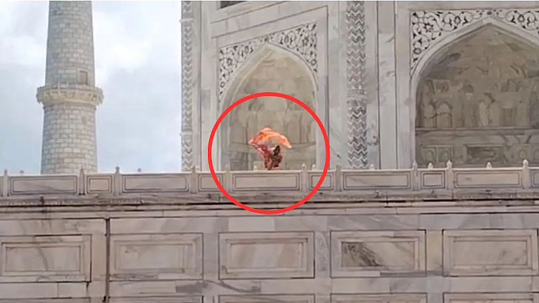 <div class="paragraphs"><p>تاج محل میں بھگوا کپڑا لہراتی ایک خاتون، تصویرسوشل میڈیا</p></div>