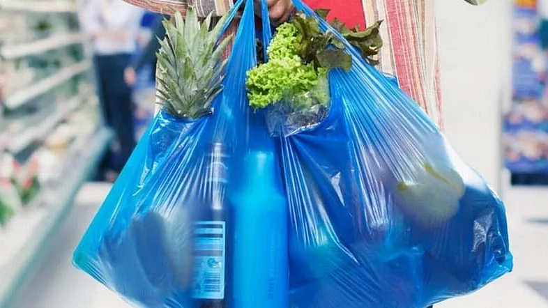 <div class="paragraphs"><p>پلاسٹک کی تھیلی، تصویر سوشل میڈیا</p></div>