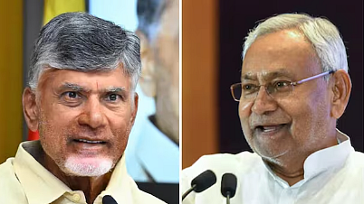 <div class="paragraphs"><p>نتیش کمار اور چندرابابو نائیڈو، تصویر سوشل میڈیا</p></div>