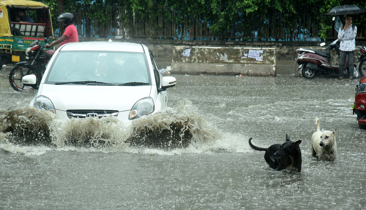 نوئیڈا میں انجینئر کی موت: فائر سروس کے نظام پر سوال، لازمی تیراکی کی تربیت نہ ہونے کا انکشاف