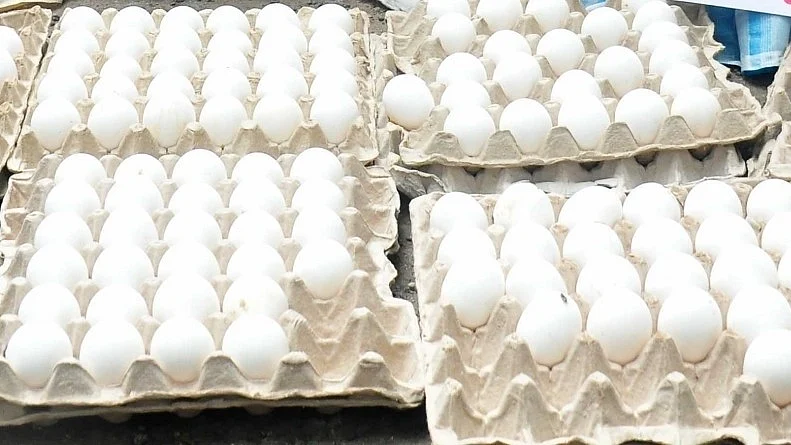 <div class="paragraphs"><p>فائل تصویر آئی اے این ایس</p></div>