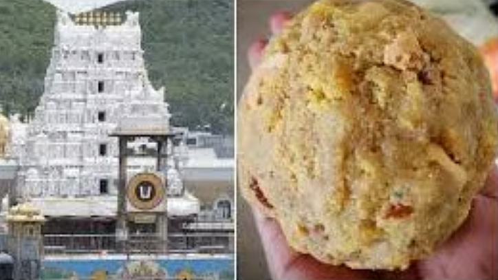 <div class="paragraphs"><p>تروپتی لڈو تنازعہ </p></div>