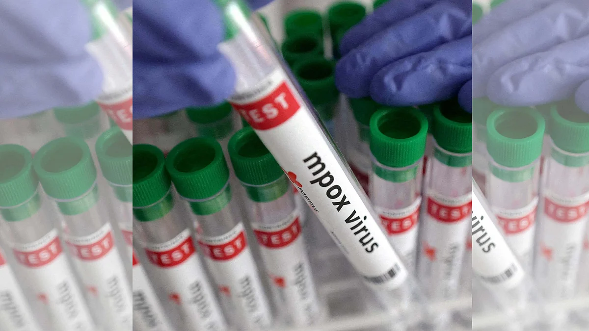 <div class="paragraphs"><p>تصویر سوشل میڈیا</p></div>