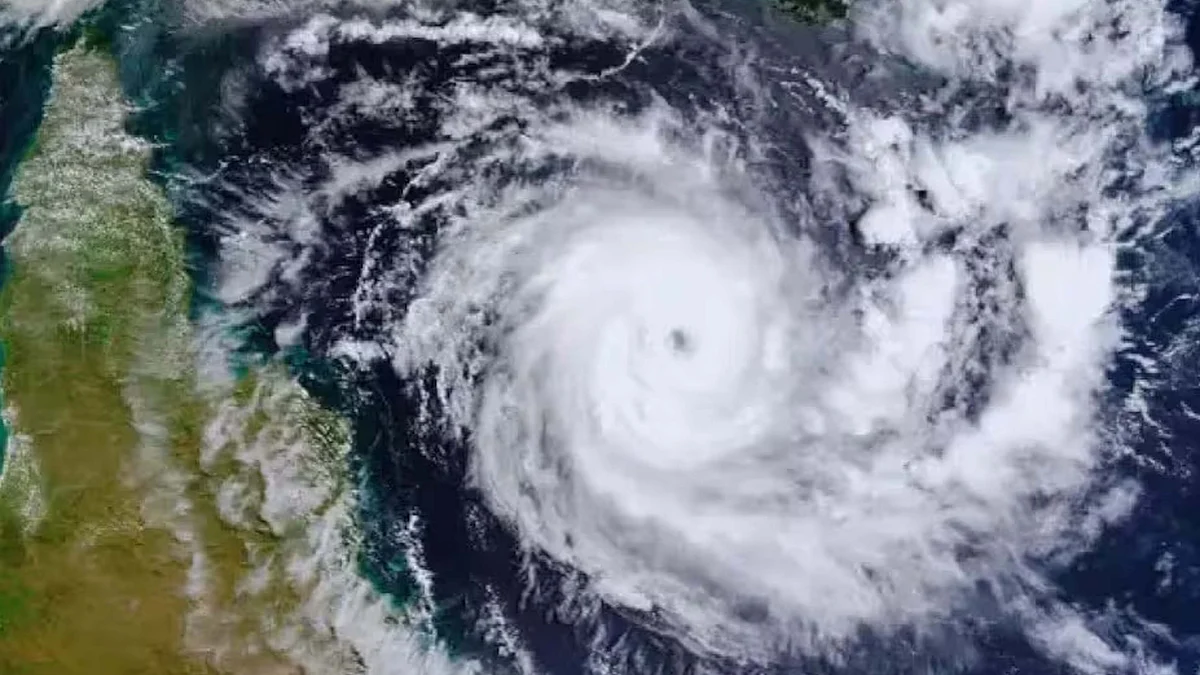 <div class="paragraphs"><p>تصویر سوشل میڈیا</p></div>