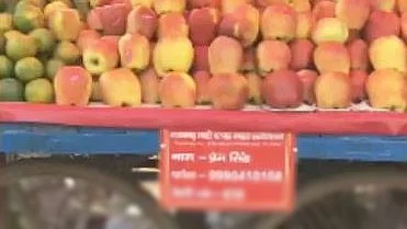 <div class="paragraphs"><p>تصویر سوشل میڈیا</p></div>