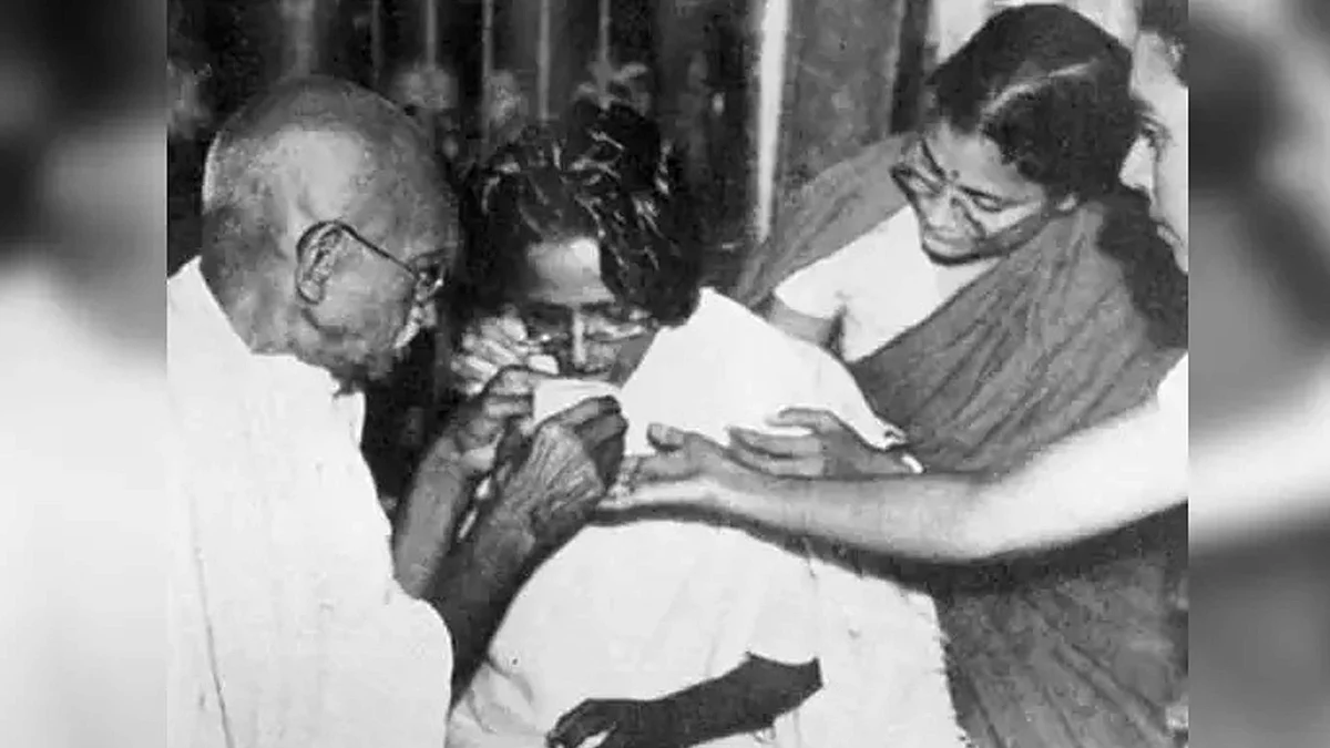 <div class="paragraphs"><p>تصویر شاہد صدیقی علیگ</p></div>