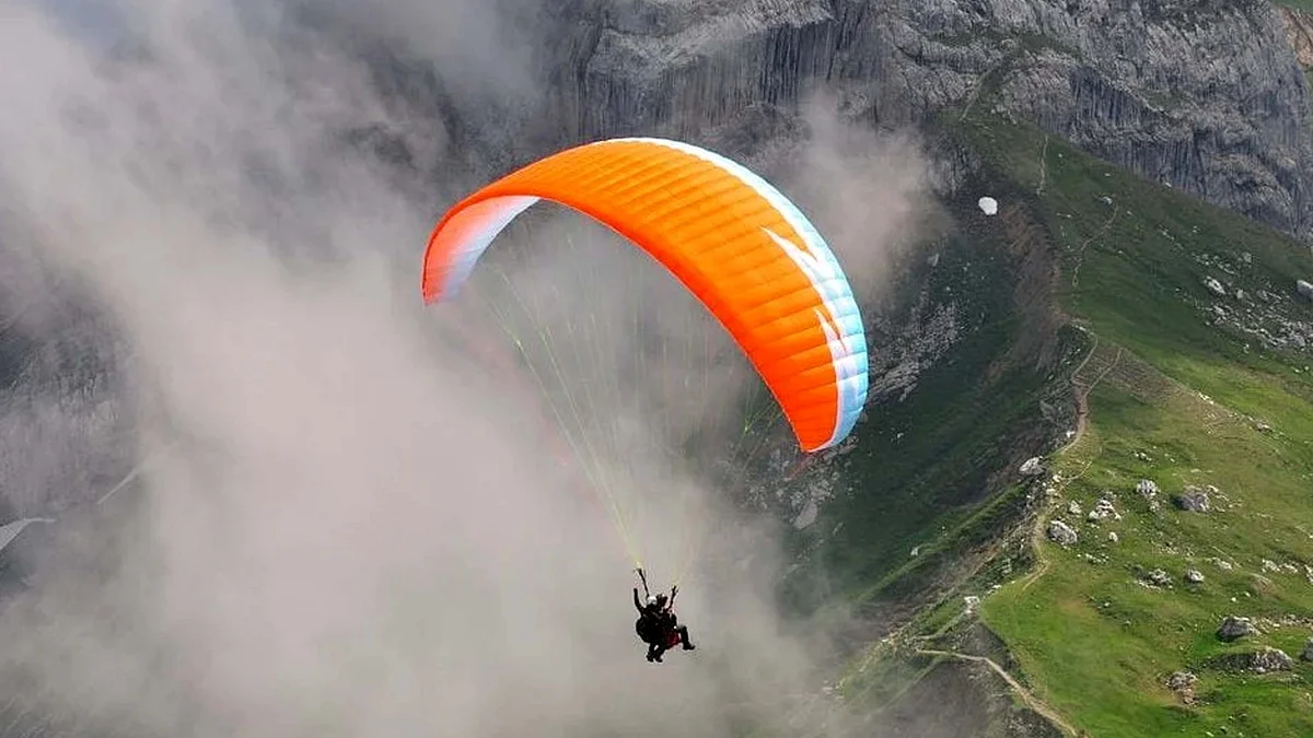 <div class="paragraphs"><p>علامتی تصویر</p></div>