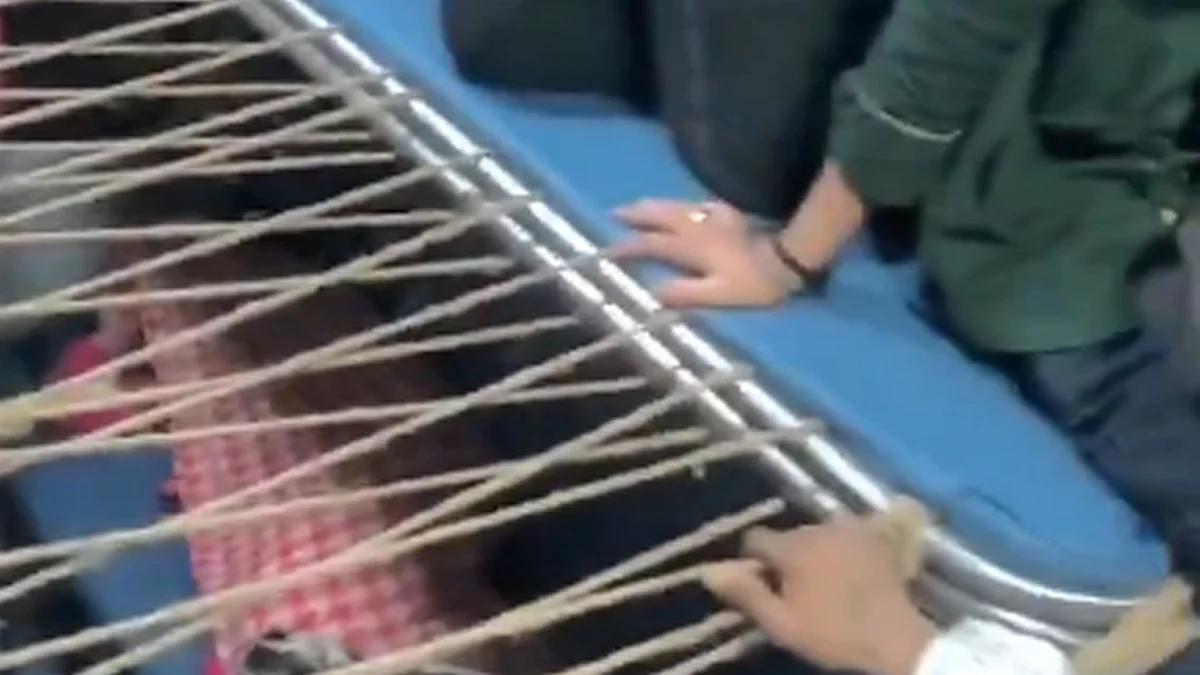 <div class="paragraphs"><p>ویڈیو گریب</p></div>