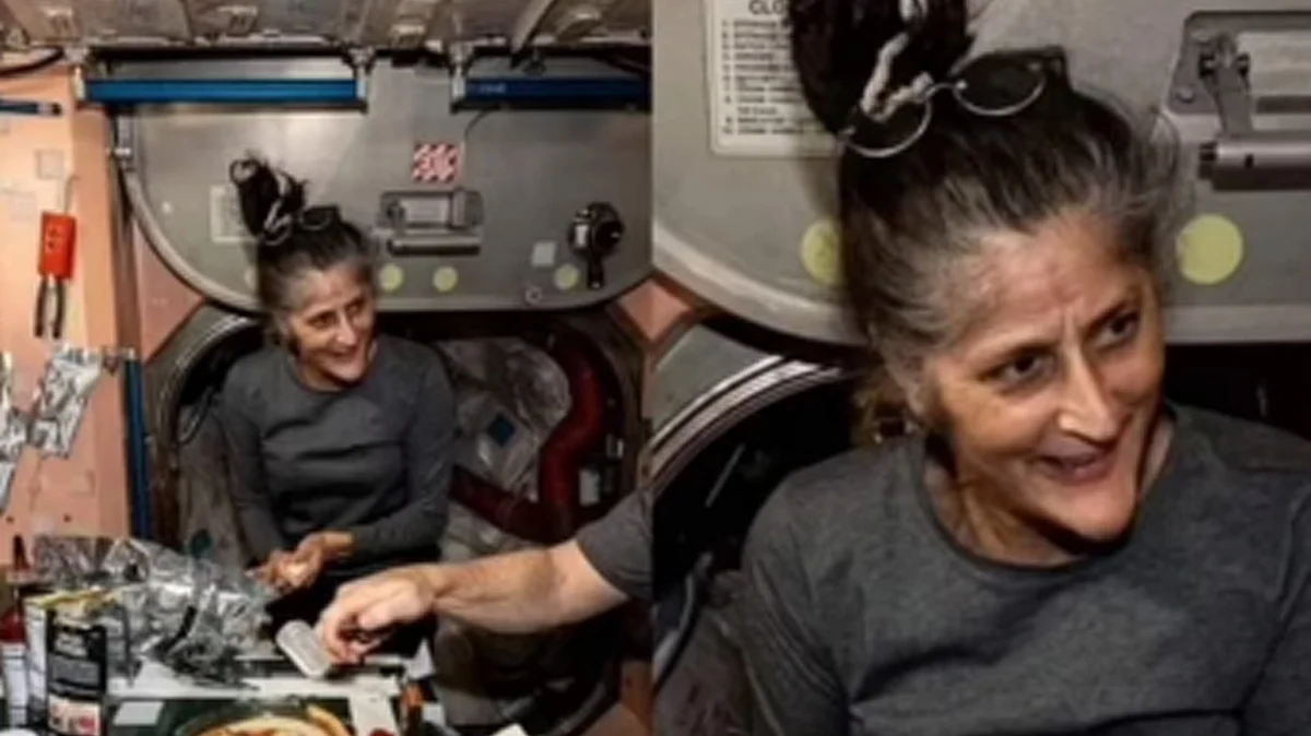 <div class="paragraphs"><p>تصویر سوشل میڈیا</p></div>