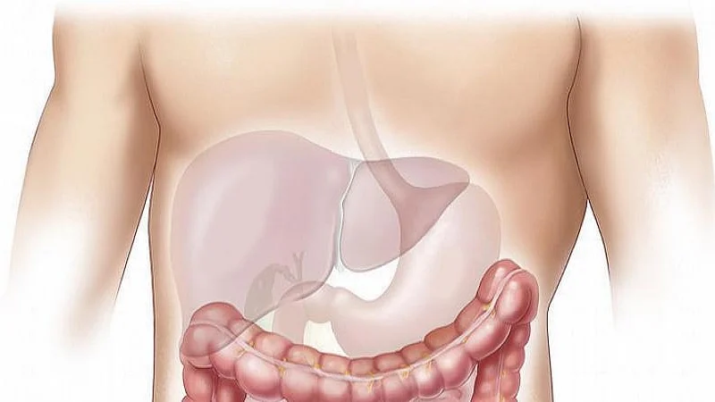 <div class="paragraphs"><p>تصویر آئی اے این ایس</p></div>