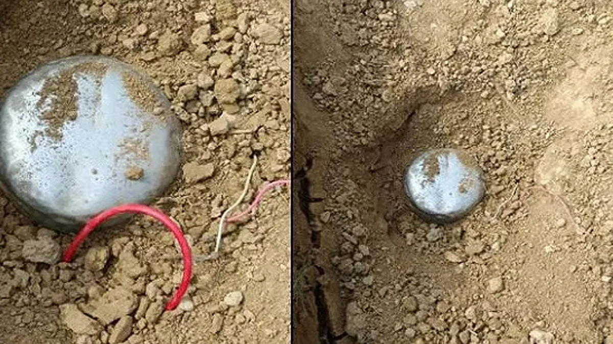 <div class="paragraphs"><p>تصویر سوشل میڈیا</p></div>