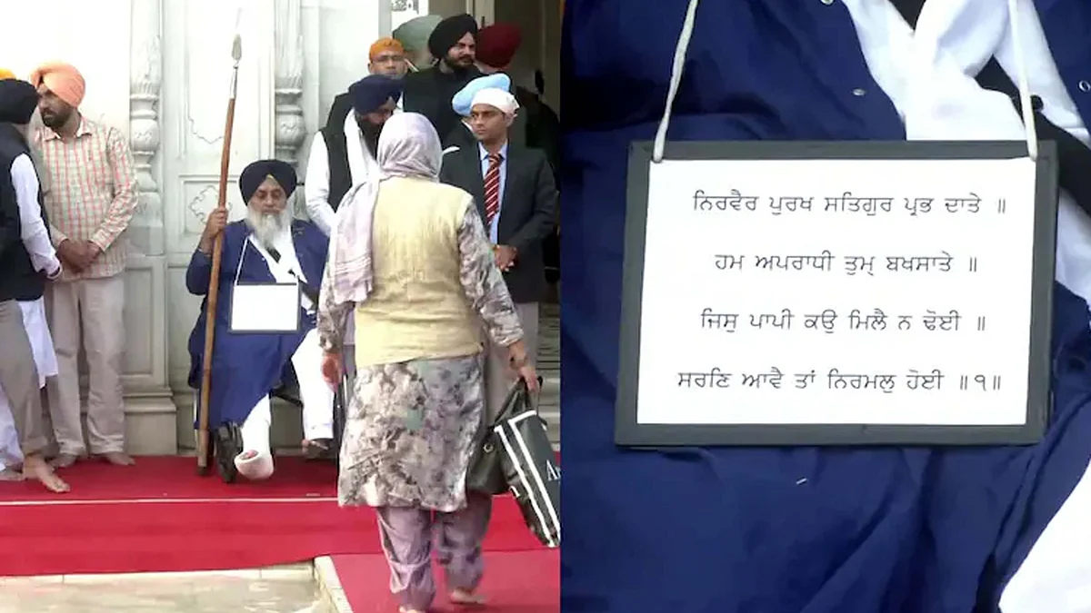 <div class="paragraphs"><p>سوشل میڈیا</p></div>