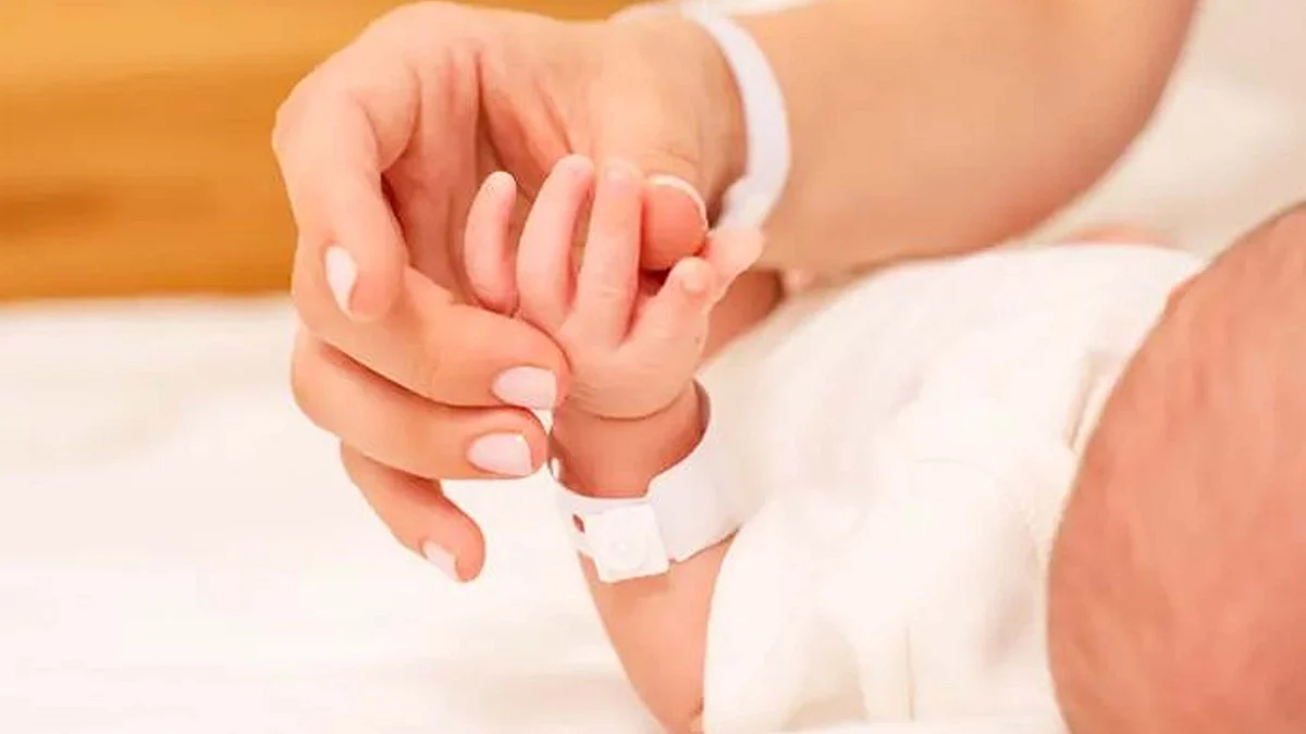 <div class="paragraphs"><p>علامتی تصویر</p></div>