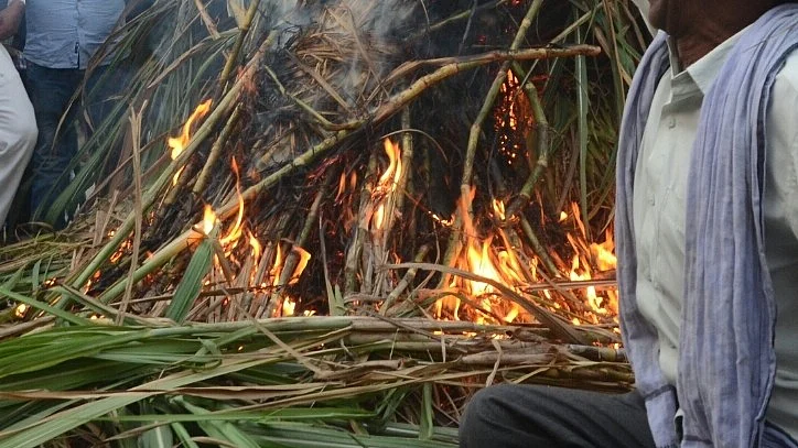 <div class="paragraphs"><p>فائل علامتی تصویر آئی اے این ایس</p></div>