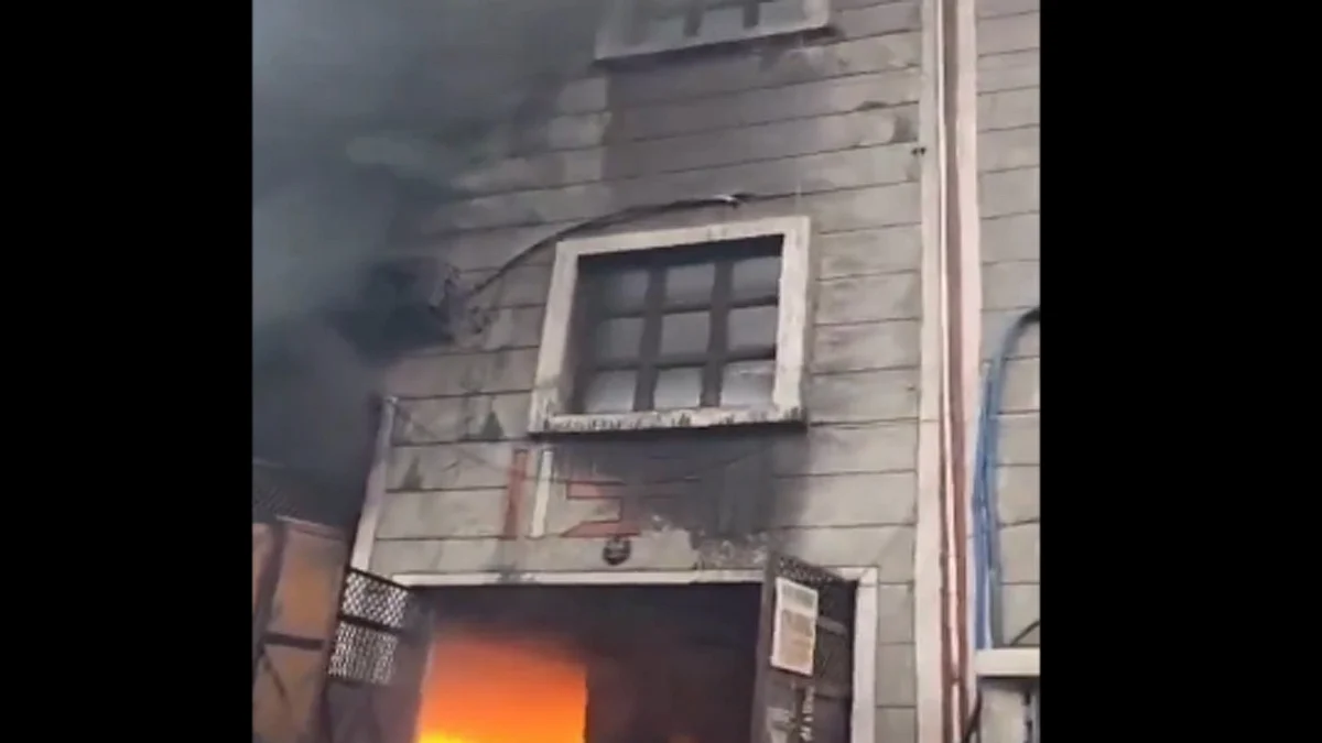 <div class="paragraphs"><p>ویڈیو گریب</p></div>