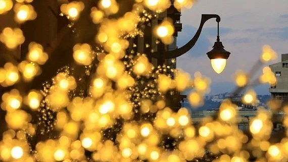 <div class="paragraphs"><p>فائل علامتی تصویر آئی اے این ایس</p></div>