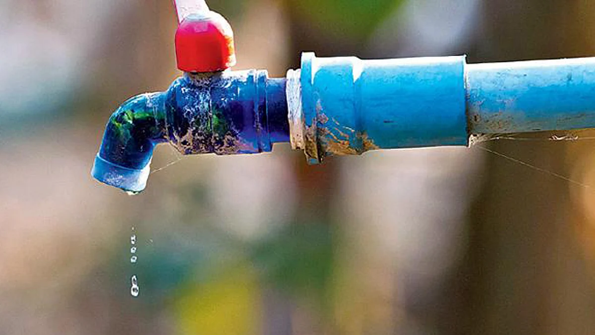 <div class="paragraphs"><p>تصویر سوشل میڈیا</p></div>