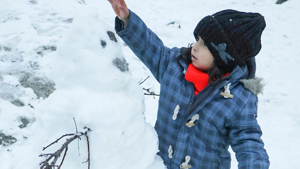 <div class="paragraphs"><p>فائل تصویر آئی اے این ایس</p></div>