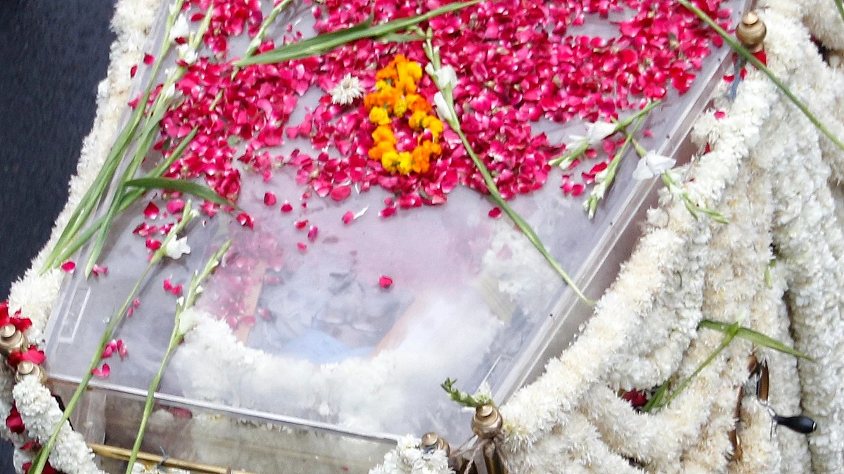 <div class="paragraphs"><p>تصویر آئی اے این ایس</p></div>