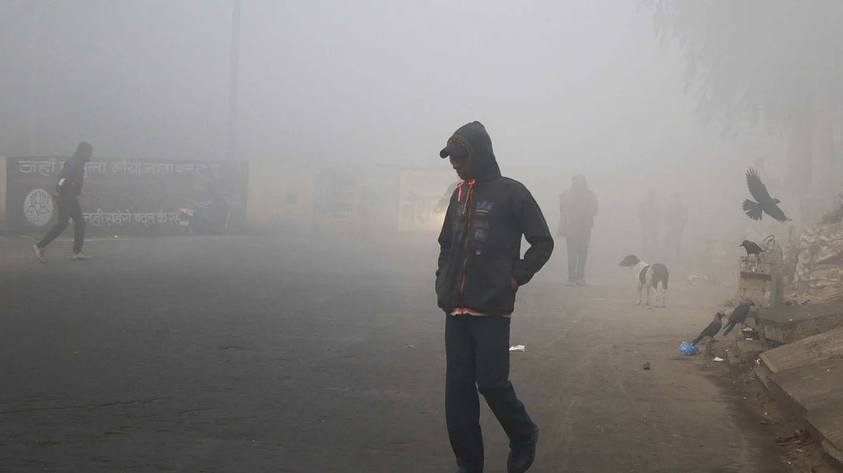 <div class="paragraphs"><p>آئی اے این ایس</p></div>