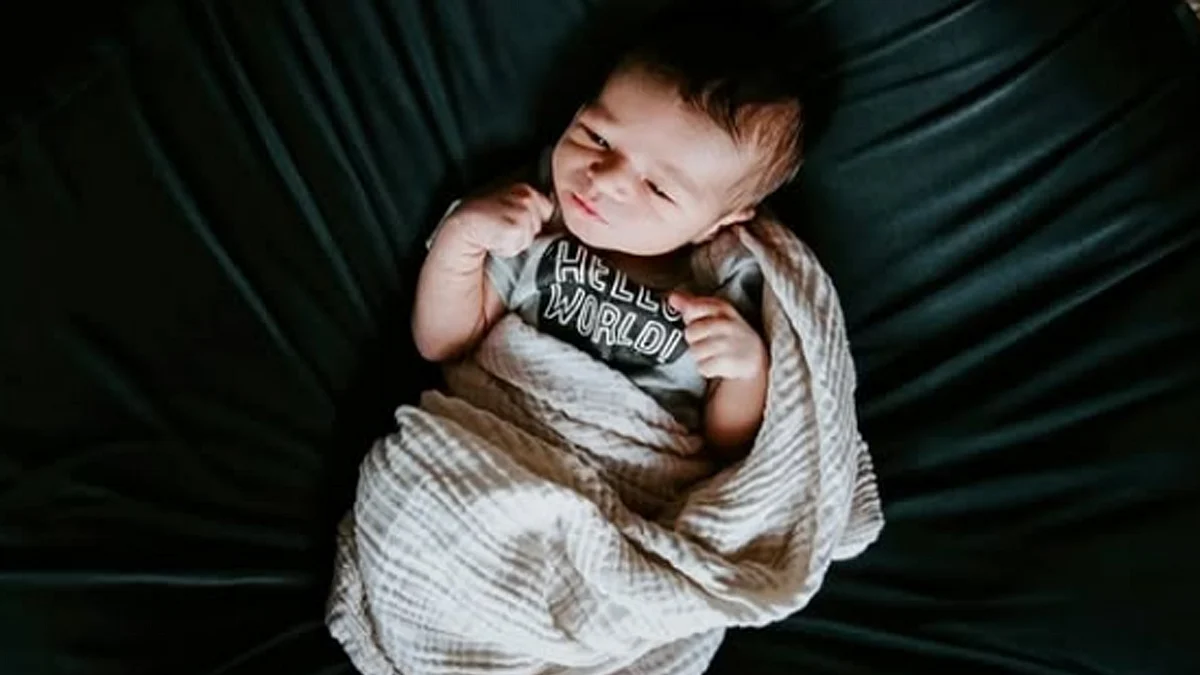 <div class="paragraphs"><p>تصویر سوشل میڈیا</p></div>