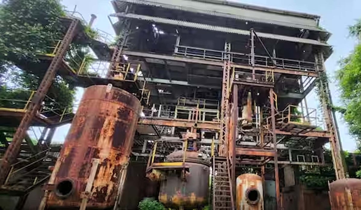 <div class="paragraphs"><p>تصویر سوشل میڈیا</p></div>