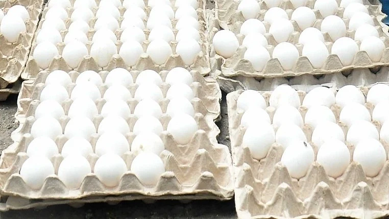 <div class="paragraphs"><p>فائل تصویر آئی اے این ایس</p></div>