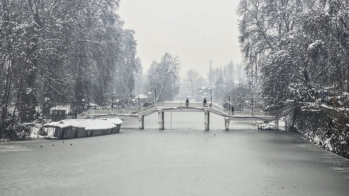 <div class="paragraphs"><p>فائل تصویر آئی اے این ایس</p></div>