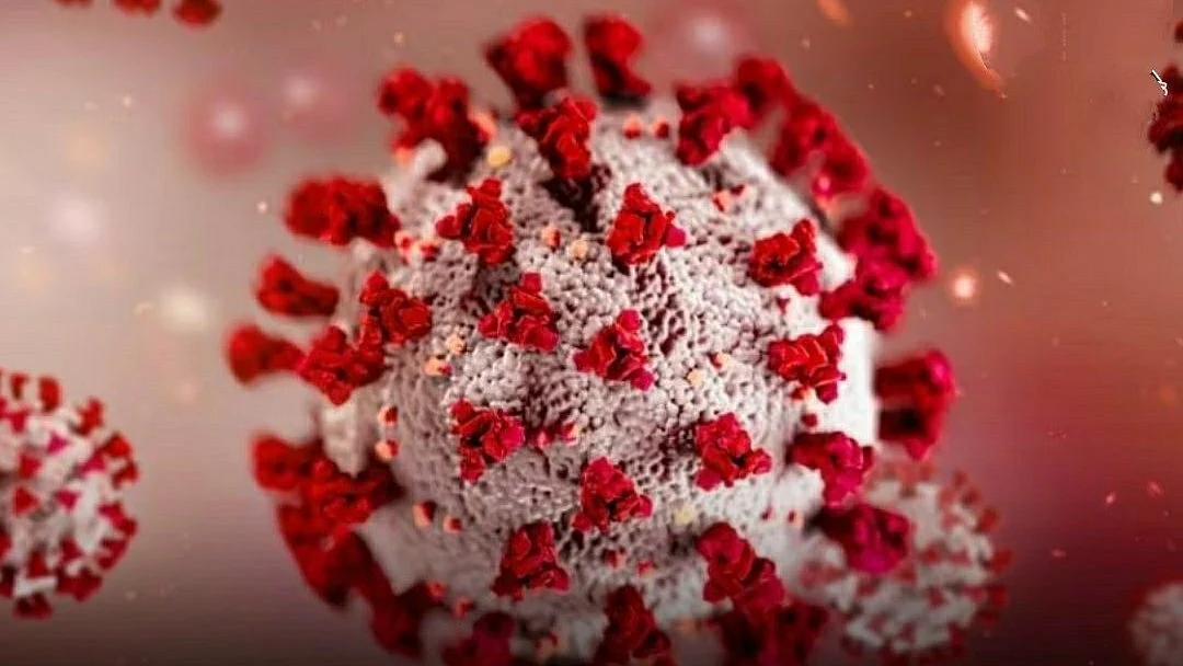 <div class="paragraphs"><p>ایچ ایم پی وی، تصویر ’ایکس‘</p></div>