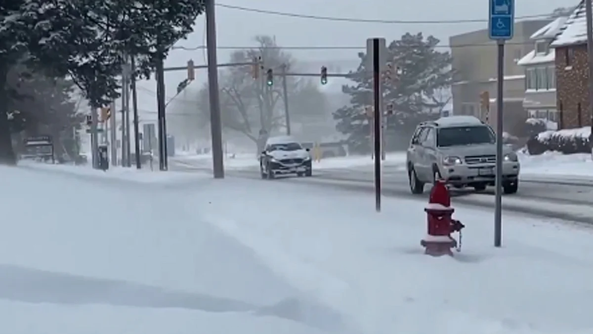 <div class="paragraphs"><p>ویڈیو گریب</p></div>