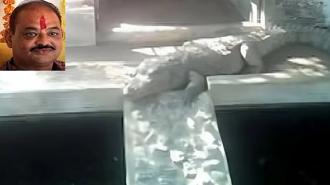 <div class="paragraphs"><p>تصویر سوشل میڈیا</p></div>